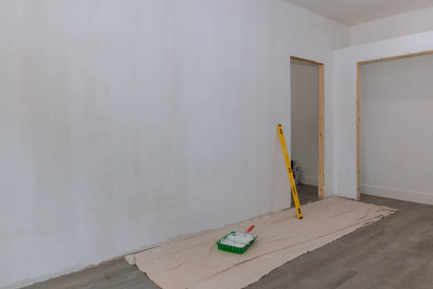 Best Professional Drywall Finishing  in Dillon, MT